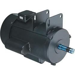 Grizzly Industrial H5387 - Motor 3 HP Single-Phase 3450 RPM 220V For G1023Z