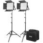 Fovitec 2-Light Ultra-Bright 1200 LED Daylight Panel Kit with Cases & Stands, 5600K, 95+ CRI, for Portraits, Product Photos, Vlogging, Video Production, Green Screen Chroma Key, & Live Streaming