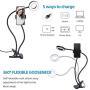 Panta Clip on Light with Phone Holder, Webcam Stand, USB Ring Light, Computer Light for Video Conferencing, Zoom Lighting for Laptop, Desk Lamp for Home Office, Reading Lamp for Bedside Table