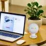 SPORTLINK Pedestal for Nest Mini (2nd Gen) and Google Home Mini (1st Generation) Improves Sound Visibility and Appearance - A Must Have Mount Holder Stand for Nest Mini (2nd Gen)/ Home Mini (2pack) SPORTLINK Pedestal for Nest Mini (2nd Gen) and Google Home Mini (1st Generation) Improves Sound Visibility and Appearance - A Must Have Mount Holder Stand for Nest Mini (2nd Gen)/ Home Mini (2pack)