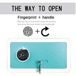 1.12 CF Biometric Fingerprint Safe Box - Safe Safety Box with Keys Jewelry Safe Box,Apply to Home Hotel Office