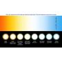 NC LED Bright White 10K Wide Angle 3 Lights ECO3 0.72 Watt Product of Korea 3 YRS Warranty (Bags of 100 Modules, 50 Ft)