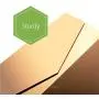 PACKHOME 5 Gift Boxes 14x9.5x4.5 Inches, Large Gift Boxes with Lids, Bridesmaid Proposal Boxes, Sturdy Storage Boxes, Collapsible Gift Boxes with Magnetic Closure (Glossy Gold)