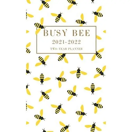 Graphique 2021 Fun Pattern 2 Year Planner — 29-Month Planner in 4 Languages, Includes Notes, Reference Pages, Public and Culturally Significant Holidays, 3.75'' x 6'', Model Number: 2Y02021