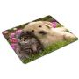 Smooffly Mouse Pad Animals Cat Kitten Dog Golden Retriever Puppy Mousepad Rubber Gaming Mat 9.5 X 7.9 Inch (240mmX200mmX3mm)
