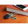 Dynotag Web Enabled Smart Keychain Tag with DynoIQ & Lifetime Recovery Service. Deluxe Coated Steel, with Steel Key Ring
