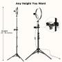 10.2 inch Selfie Ring Light with Tripod Stand & 2 Phone Holders, LETSCOM Dimmable Led Beauty Camera Ringlight for Makeup/Photography/YouTube Videos/Vlog/TIK Tok/Live, Compatible with iPhone & Android