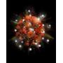 Fortune Products FB-1W Fairy Berries Magical LED Light, 3/4'' Diameter, White (Case of 10)