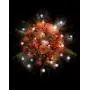 Fortune Products FB-1W Fairy Berries Magical LED Light, 3/4'' Diameter, White (Case of 10)