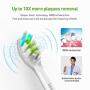 Hanasco Sonic Electric Toothbrush Rechargeable for Adults, 4 Modes with Build in 2 Mins Timer, 3 Brush Heads Included, Whitening Clean 4 Hours Charge for 30 Days Use, Soft Bristles, 38,000 VPM Pink