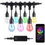HBN Smart Outdoor Patio Light RGB Color & White LED Lights Smart String Light-24ft, 12 Round Bulbs, 2.4 GHz Only, Works with Alexa/Google Assistant, App Controlled, No Hub Needed, IP65 Waterproof