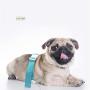JYtop 2019 New pet Quantum Resonance Magnetic Analyzer for Dog and cat