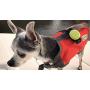 ACR OLAS TAG Man Overboard Location Alert System Wearable Crew Tracker 4 Pack