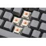 Drop + Invyr Holy Panda Mechanical Switches - Plate Mounted Tactile Keyboard Switches, Cherry-Style, 67g Spring (70 Pack)