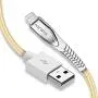 KINPS MFI Certified Lightning Cable 10FT, Upgrade iPhone Charger Cord Compatible with iPhone 12/11/XS Max/XS/XR/X/8 Plus/8/7 Plus/7/6S Plu/6Ss, iPad, (Gold)