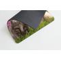 Smooffly Mouse Pad Animals Cat Kitten Dog Golden Retriever Puppy Mousepad Rubber Gaming Mat 9.5 X 7.9 Inch (240mmX200mmX3mm)