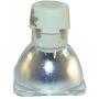Lamp Replacement for Philips UHP 190-160W 0.9 E20.9
