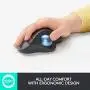 Logitech ERGO M575 Wireless Trackball Mouse, Easy thumb control, Precision and smooth tracking, Ergonomic comfort design, Windows/Mac, Bluetooth, USB - Graphite
