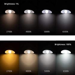 Smart Light Bulb Works with Alexa Google Home & Siri, LUMIMAN WiFi Tunable Dimmable 800 Lumen Warm White to Daylight White A19 E26 LED Lights Bulbs, 7W (60W Equivalent), No Hub Required 4 Pack