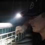 Klein Tools 56402 LED Light, Cap Visor Clip Light with Pivoting Head, 2 x AAA Batteries Included