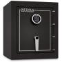 Mesa Safe Company Model MBF1512E Burglary and Fire Safe with Electronic Lock, Hammered Gunmetal