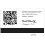Pyramid Time Systems Trax 41304 Swipe Cards (51-100) for TTEZ, TTEZEK, PSDLAUBKK, TTPRO, TTMOBILE, FASTTIME 8000 & 9000 Time Clock Systems, 50/Pk. Magnetic Strip Employee Card, Blue/Black/White
