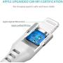 Syncwire iPhone Charger Lightning Cable 4ft [Apple MFI Certified] Upgraded Nylon Braided Fast Charging & Syncing Apple Charger Cord for iPhone 12 11 XS Max XR X 8 Plus 7 Plus 6 Plus Se iPad - Silver