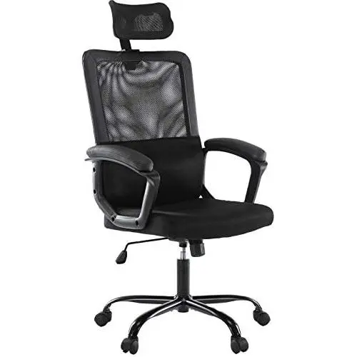 Smugdesk Ergonomic Office Chair with Adjustable Headrest, Breathable Skin Friendly Mesh Swivel Chair, Desk Chair, Computer Task Chair (Black)