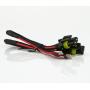 XENTEC 55W Standard Size Ballasts x 2 bundle with 2 x Xenon Bulb H1 10000K (Brillant Blue) offroad