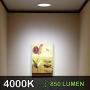 12 Pack 4 Inch LED Recessed Lighting with Junction Box, Wet Location,10W=80W, 4000K Cool White, 650lm Dimmable Wafer Light, Canless LED Recessed Ceiling Light
