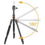 GEX Multifunction Mannequin Tripod (Camera) Stand Canvas Block Training Doll Manikin Head Wig Stand for Cosmetology Hairdressing (Black)