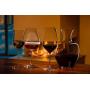 Riedel Veritas Spirits Glass, Set of 2, Clear