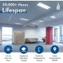 Hyperikon 2 Foot LED Tube, Glass T8 T10 T12, 10W=32W, Single End Ballast Bypass, Frosted Lens, UL, DLC, Crystal White, 25 Pack