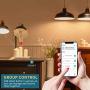 Smart WiFi Alexa Light Bulb, Peteme Led RGB Color Changing Bulbs, Compatible with Alexa, Siri, Echo, Google Home (No Hub Required), E26 A19 60W Multicolor (4 Pack)