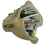 UHP 300-250W 1.3 E21.8 Philips Projection Original Projector Bulb