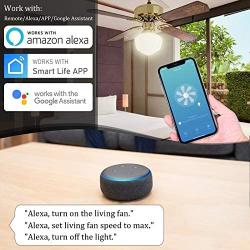 Smart WiFi Ceiling Fan Remote Control Kit Universal Small Size Receiver 12 Hours Countdown Timing 4 Speeds Compatible with Echo Alexa Google Assistant Replacement of Hampton Bay Harbor Breeze Hunter