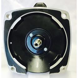 GW YYN5682-L7 2 HP, 3450RPM, 1.3 Service Factor, 56Y Frame, 208-230V, Square Flange Pool Pump Motor