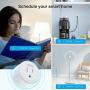 Smart Plug Works with Alexa and Google Home, Gosund WiFi Outlet Mini Socket Remote Control with Timer Function, Only Supports 2.4GHz Network, No Hub Required, ETL FCC Listed(4 Pack)