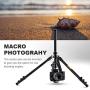 K&F Concept 62 DSLR Tripod, Lightweight and Compact Aluminum Camera Tripod with 360 Panorama Ball Head Quick Release Plate for Travel and Work (TM2324 Black)