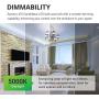 Sunco Lighting 10 Pack A15 LED Candelabra Bulb, 5W=40W, 5000K Daylight, Dimmable, Waterproof, 450 LM, E12 Base, Indoor/Outdoor Light - UL
