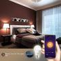 Smart WiFi Alexa Light Bulb, Peteme Led RGB Color Changing Bulbs, Compatible with Alexa, Siri, Echo, Google Home (No Hub Required), E26 A19 60W Multicolor (4 Pack)