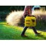 Champion Power Equipment 100692 2000-Watt Portable Inverter Generator, Ultralight