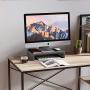 Bestier Monitor Stand Riser (Grey, 15.7 Inch)