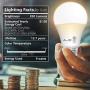 A19 LED Light Bulbs- 6 Pack, AmeriTop Efficient 9W(60W Equivalent) 830 Lumens General Lighting Bulbs, UL Listed, Non-Dimmable, E26 Standard Base (3000K Warm White)