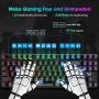 PICTEK TKL Mechanical Gaming Keyboard, RGB LED Rainbow Backlit 60% keyboard with Blue Switches, 27 LED Lighting Modes 87 Keys Keyboard, 100% Anti-Ghosting Tenkeyless Keyboard for Windows PC/MAC Games