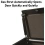 SentrySafe QAP1BE Gun Safe with Biometric Lock, 1 Capacity