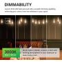 Sunco Lighting 12 Pack ST64 LED Bulb, Dimmable, Waterproof, 8.5W=60W, 3000K Warm White, Vintage Edison Filament Bulb, 800 LM, E26 Base, Restaurant or String Lights - UL