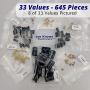 Joe Knows Electronics 33 Value 645 Piece Capacitor Kit