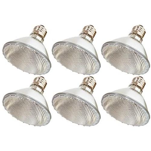 (Pack Of 6) 60PAR30/FL 120V - 60 Watt High Output (75W Replacement) PAR30 Flood Short Neck - 120 Volt Halogen Light Bulbs