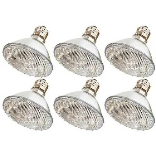(Pack Of 6) 60PAR30/FL 120V - 60 Watt High Output (75W Replacement) PAR30 Flood Short Neck - 120 Volt Halogen Light Bulbs